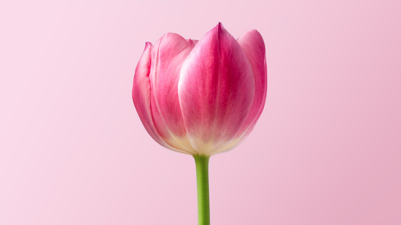 Detail van een bloemstuk